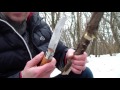 Opinel 12 Углеродка. Обзор в сыром лесу