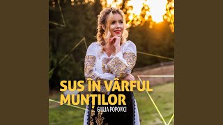 Sus in varful muntilor