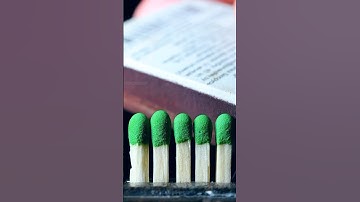 MacroShow 3 #macro #macrovideo #closeup #asmr #supermacro #satisfying #macrophotography #asmreating