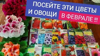 Что Посеять В Феврале И Марте Список Цветов Которые Нужно Посеять Через Рассаду !!!