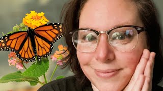 Why You Keep Seeing Butterflies 🦋👀🦋 #butterflies 