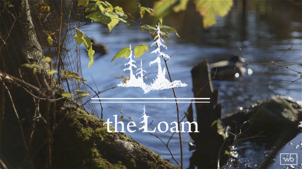 The Loam - Rebecca Lam (original) | Live Acoustic Sessions