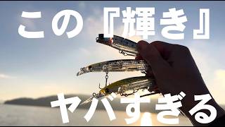 DAIWAレーザーインパクトは結局釣れるの?検証した結果がやばすぎた…