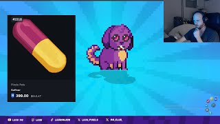 Everything you need to know about PETS in Pixels! screenshot 3