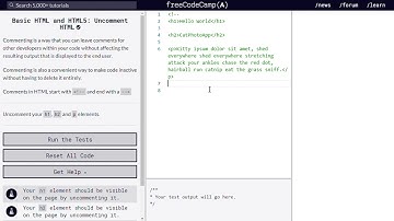Learn Basic HTML and HTML5  Uncomment HTML   freeCodeCamp