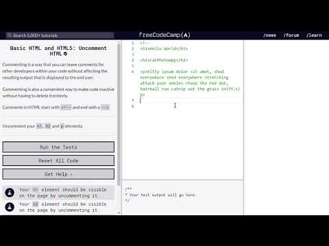 Learn Basic HTML and HTML5  Uncomment HTML   freeCodeCamp
