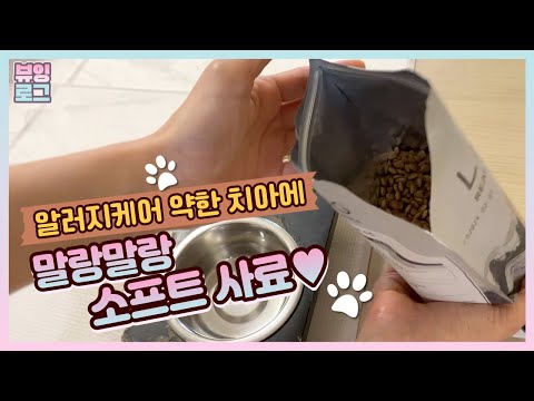 강아지 알러지사료 찾는다면? 곤충단백질 말랑말랑 소프트사료 리뷰
