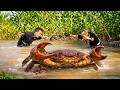 The dwarf family discovered many large stone crabs by the stream - Delicious steamed crab dish