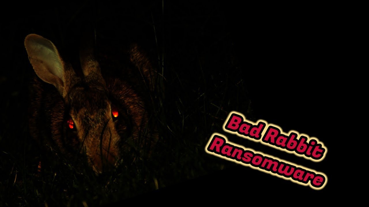 Bad Rabbit Ransomware - YouTube