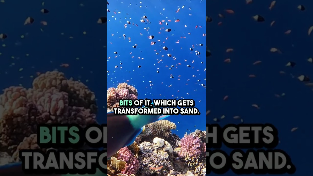 Meet the Fish That’s Colorful, Weird… and Kinda Gross! 