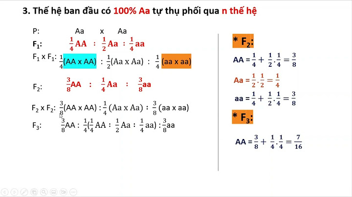 Bài tập về kích thước của quần thể năm 2024