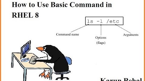 How to Use Basic Command in RHEL 8 (Hindi) By Karun Behal