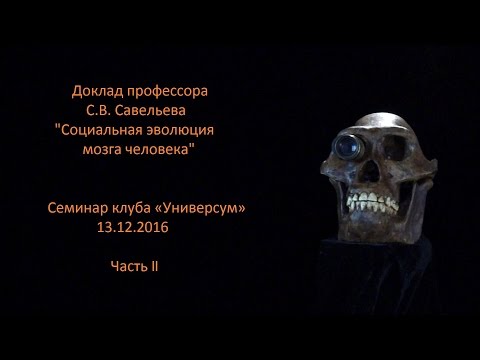С.В. Савельев с докладом "Социальная эволюция мозга" часть II