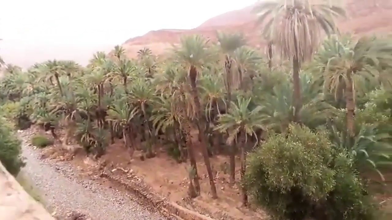 الآن أمطار الصيف  بانامر سموكن،⁦🌦️⁩⁦🌦️⁩⁦🌦️⁩⁦🌦️⁩