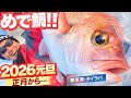 女船長 2026元旦 キタァー!!めで鯛!! 正月からタイラバ夫婦爆釣