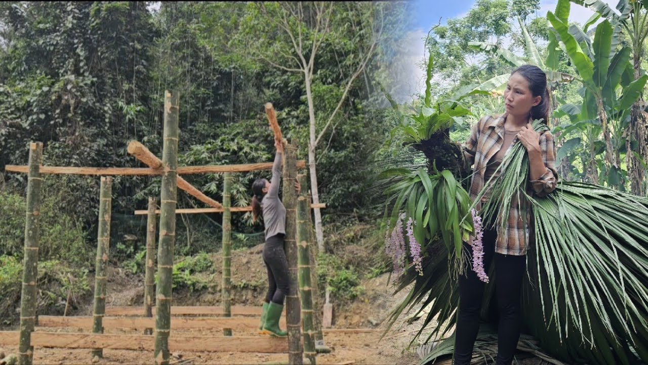 95 Days of a Girl Building a Bamboo House Alone in the Forest to Start ...