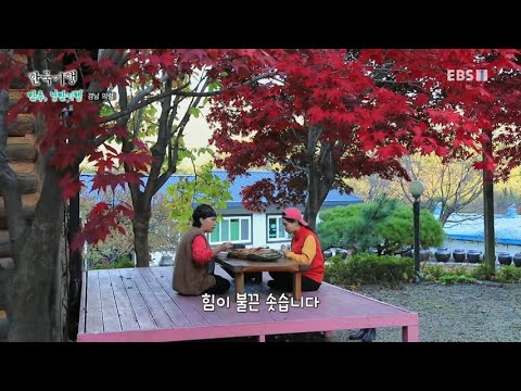 한국기행 - Korea travel_만추, 낭만기행 4부- 가을내음 따라 뚜벅뚜벅_#001