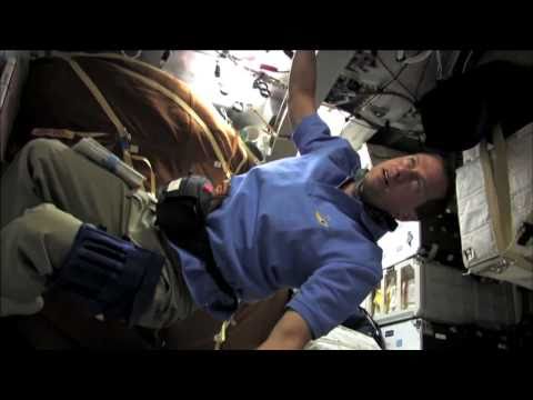 ვიდეო: რას ნიშნავს STS NASA-ს?