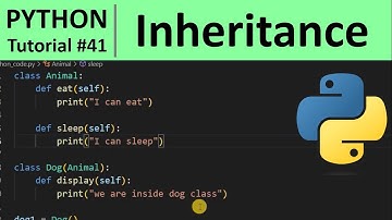 Python Tutorial #41 - Inheritance in Python Programming for Beginners