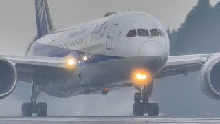 【鹿児島空港】便数が増え過ぎているKagoshima Airport【離着陸】#鹿児島空港 #離着陸