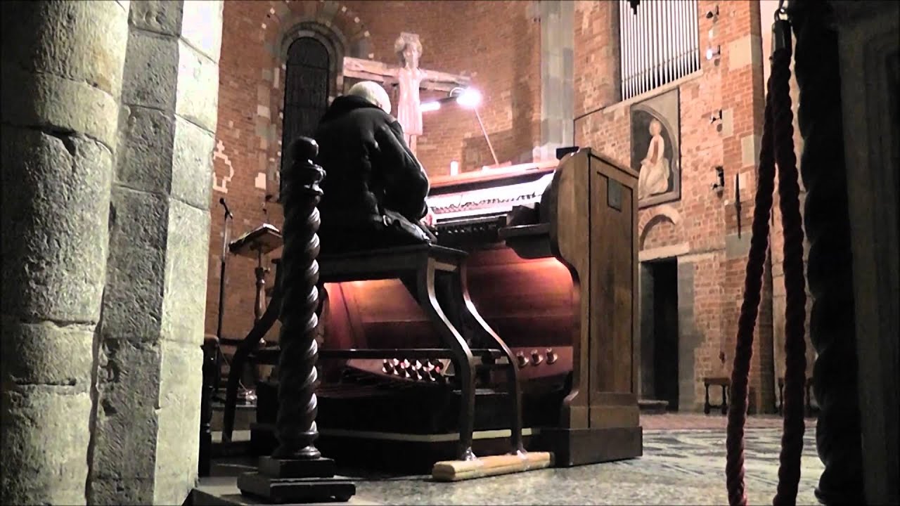 Cameron Carpenter Piacenza 20111120 #0