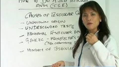 How to Do Testicular Cancer Self Exams : Testicular Cancer Risk Factors