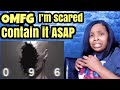 096 | SCP Short Film | 4K | REACTION