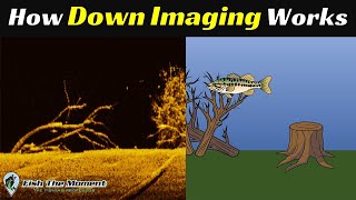 The LAST Down Imaging Explanation You Will Ever Need | Fish Finder Sonar Instruction