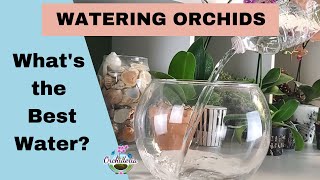 What's the Best Water for Orchids? Hard, Soft, Distilled, Rain or Well, Reverse Osmosis... screenshot 5