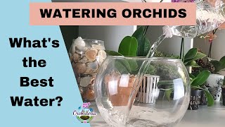 What's the Best Water for Orchids? Hard, Soft, Distilled, Rain or Well, Reverse Osmosis... screenshot 4