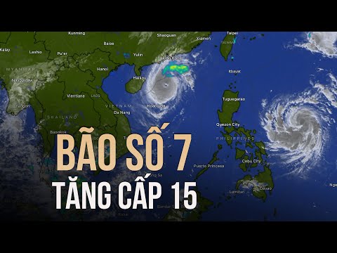 Bão số 7