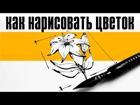 ⁣Как рисовать цветок  - рисунок, техника ландшафтного скетчинга-ландшафтная графика - Кичигин Эдуард