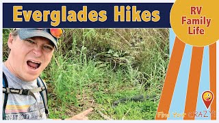 Hiking in Everglades National Park - Full time RV family of 9 tours the Everglades by Find Your Crazy 84 views 2 years ago 12 minutes, 33 seconds