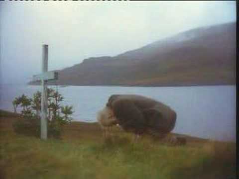 John B Keane's 'The Field'