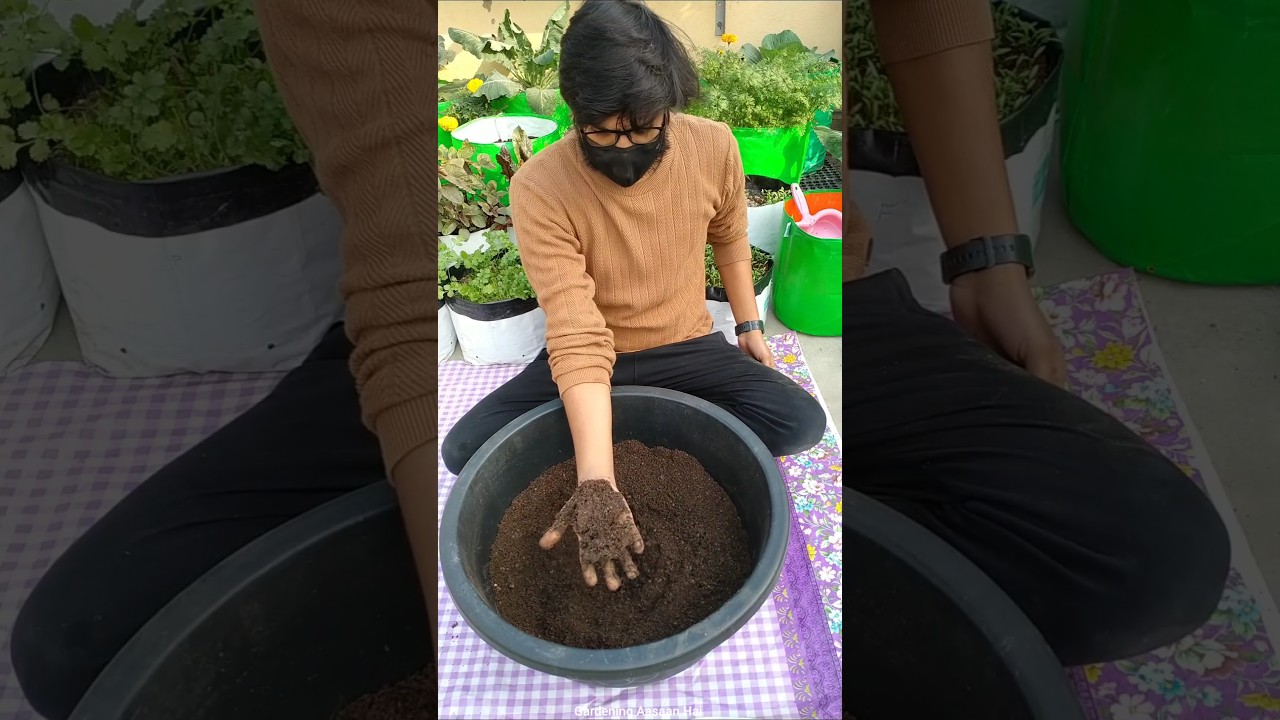 Gamle ki mitti kaise taiyar kare || Best soil mix for gardening #shorts