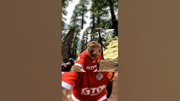 Monkey vlog #monkeyvlogs #monkey #aivlogs #monkeyvideo #aimonkeyvideo #aimonkeyvlogger #monkeys