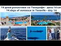 14 дней романтики на Тенерифе - день 14-ый | 14 days of romance in Tenerife - day 14