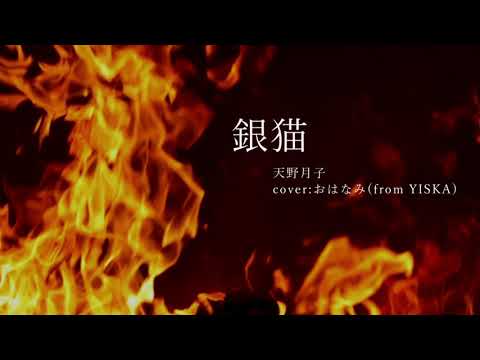 銀猫/天野月子【歌ってみた】