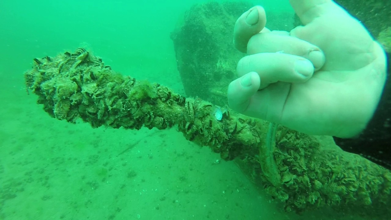 Lake Avalon Michigan, Sunken boat YouTube