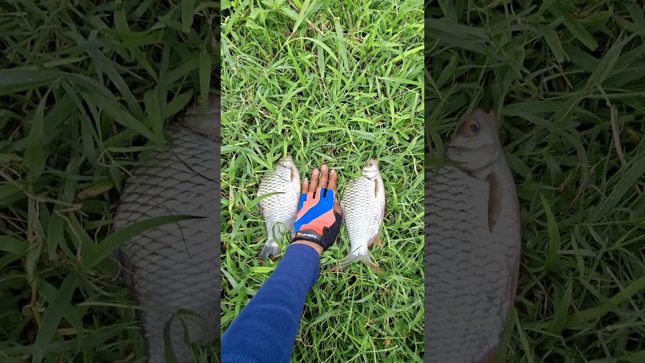 Fishing boy‼️Subscribe boz 