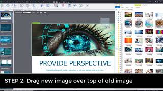 Image Swap screenshot 2