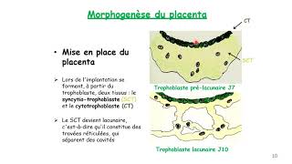 Placenta et membranes amniotiques - Pr FE HAZMIRI