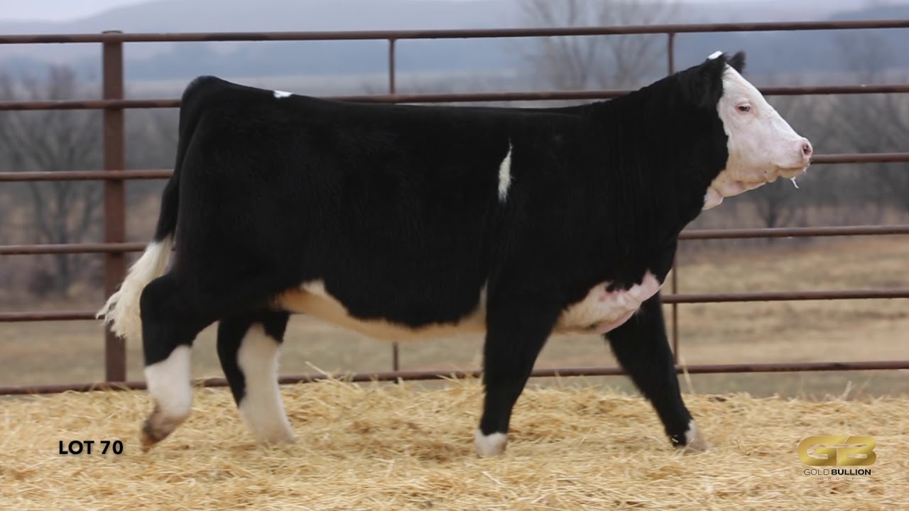 Lot 70 Gold Bullion Group YouTube