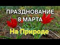 Празднование 8 Марта на природе#naturebeauty #праздник #flowers #spring
