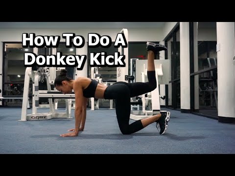 How To Do A Donkey Kick | Exercise Video Library | Exercise Tutorial