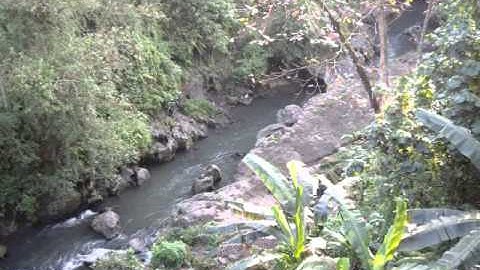 Bali - Island Paradise or Paradise Lost?