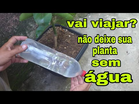 Vídeo: Regar plantas em vasos ao ar livre - Quando regar plantas de recipiente