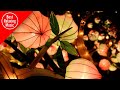 Guzheng instrumental  chinese traditional music