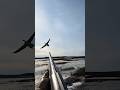 Мой товарищ охотился передо мной #snowgoose #birdshunt #охота #duckhunting