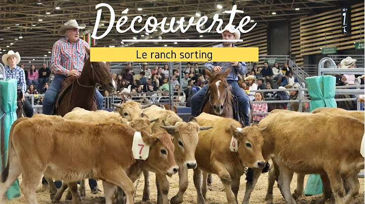 [DÉCOUVERTE] Le ranch sorting